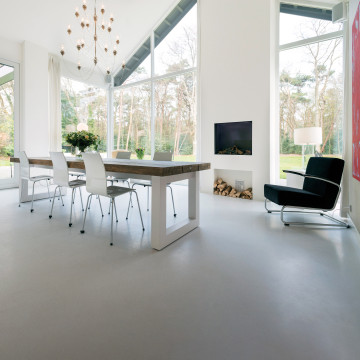 Carbon negative floors in a living room